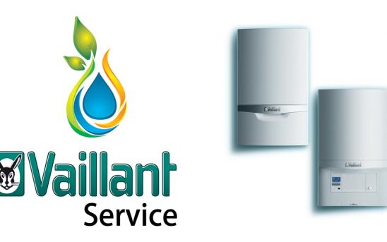 VAILLANT-HEADER